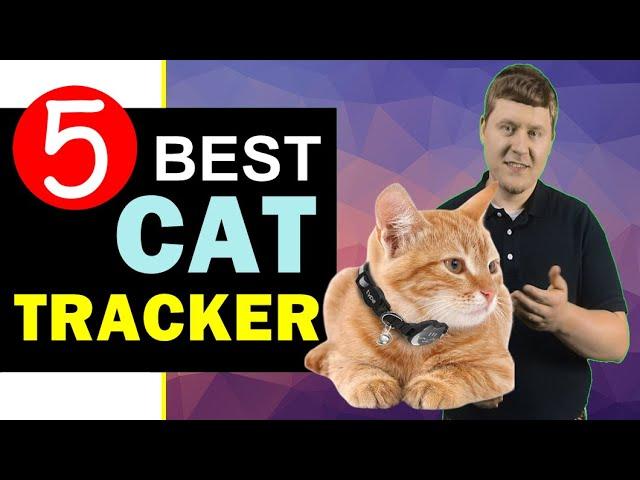 Best Cat Tracker 2024  Top 5 Best Cat Tracker Reviews