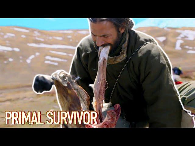 Eating A YAK'S TONGUE | Primal Survivor