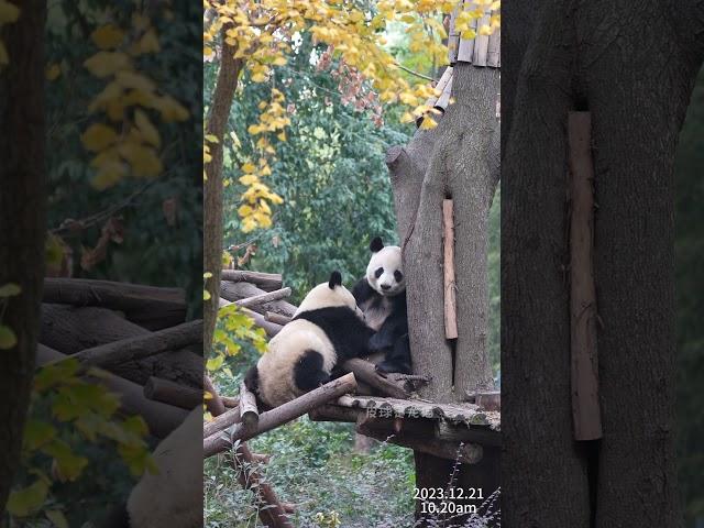 12.21绩丽&绩然...他人眼中有星海浩渺，山河千里，而我眼中有你们...