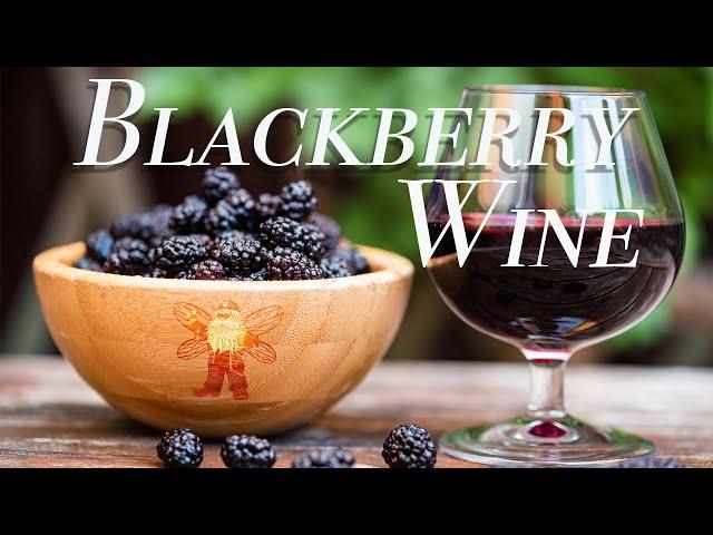 How to Make BLACKBERRY WINE for BRANDY!