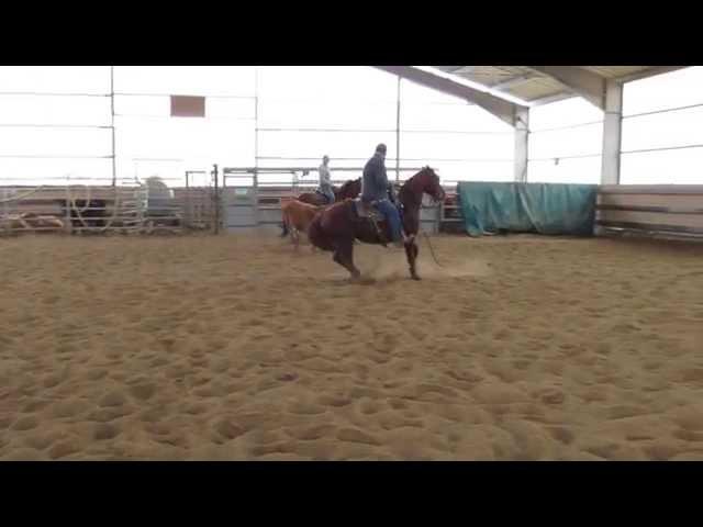 PROSPECT CUTTING FUTURITY 3 years old