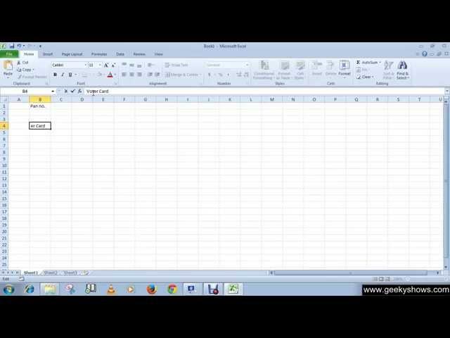 Microsoft Office Excel 2010 Entering Data