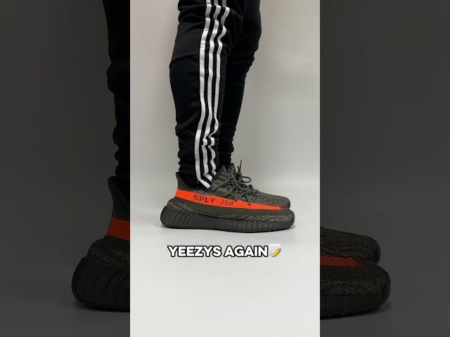 I Wore the Carbon Beluga YEEZY 350