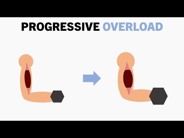 How to Apply Progressive Overload for Muscle Growth