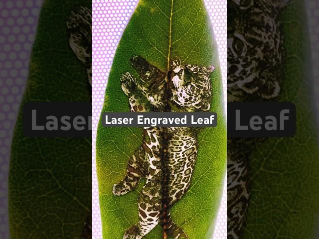 Laser Engraved Leaf EPIC! #laser #lasercut #diy #laserengraving #xtool #nature #viral #xtool #art