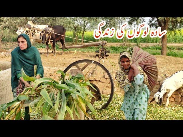 Old Amazing Cultural Village Life of Punjab Pakistan | Unseen Beautiful Village Life in Pakistan