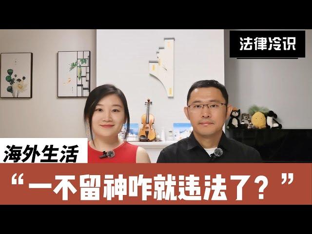 听了后悔不听更后悔|贼实用|保平安|海外华人经常会误踩的法律大坑|邻居总投诉怎么办？|不合理费用可以不交吗？|帮忙收个快递怎么就入狱了？