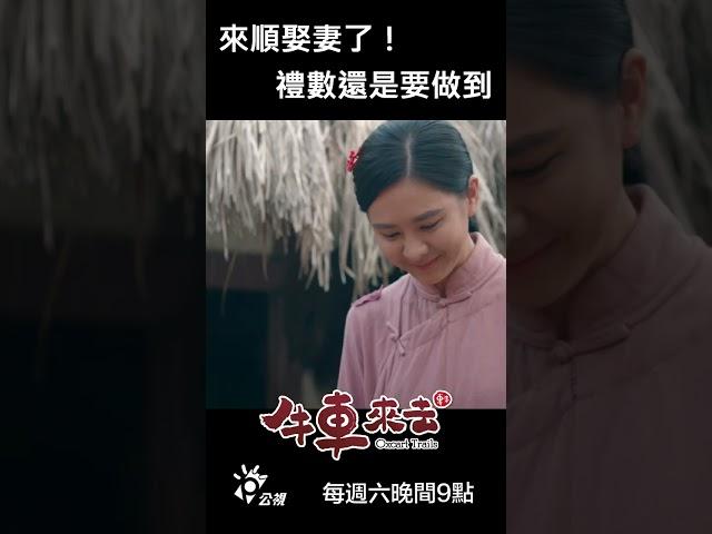 來順娶妻了！禮數還是要做到 #牛車來去 #shorts