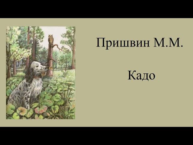 Пришвин Михаил "Кадо"