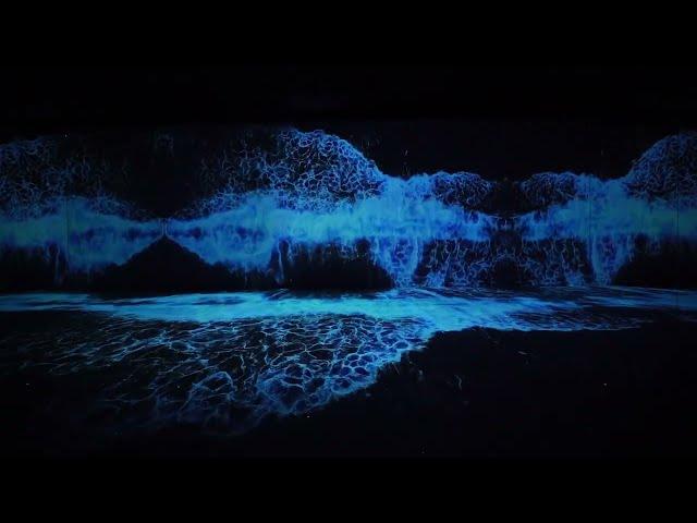 Immersive Art Experience - Starry Beach by a'strict