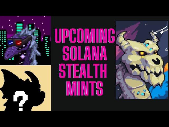 Solana Dragons NFT Update & Upcoming Stealth Mints