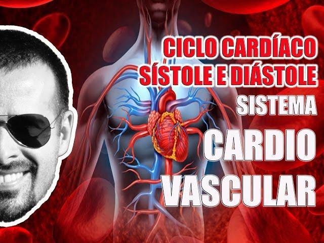 Ciclo Cardíaco: Sístole e Diástole - Sistema Cardiovascular - Anatomia Humana - VideoAula 046