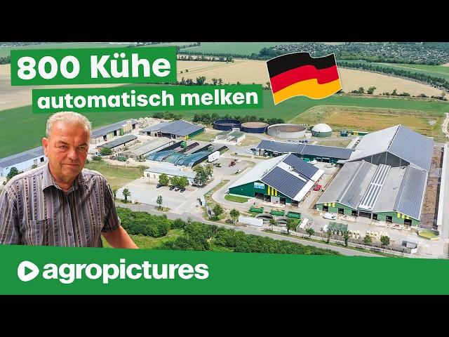 Melkroboter für 800 Kühe am Großbetrieb | Lemmer Fullwood Batch Milking 4.0 bei Agrarprodukte Kitzen