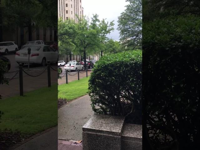 Tornado Warning Birmingham AL - David J. Dill