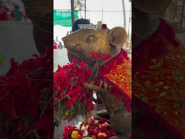 गणपतीपुळे दर्शन  #shorts #trending #youtubeshorts  #ganpatipule #konkan