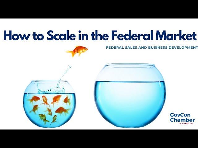 How to Scale in the Federal Market | Scaling Gap Analysis  | Federal Sales and Business Development