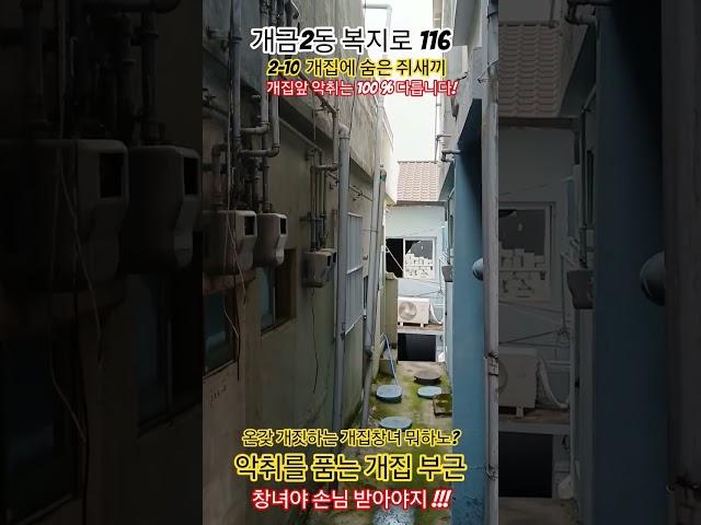 개금2동 복지로 116 개집에숨은 창녀!