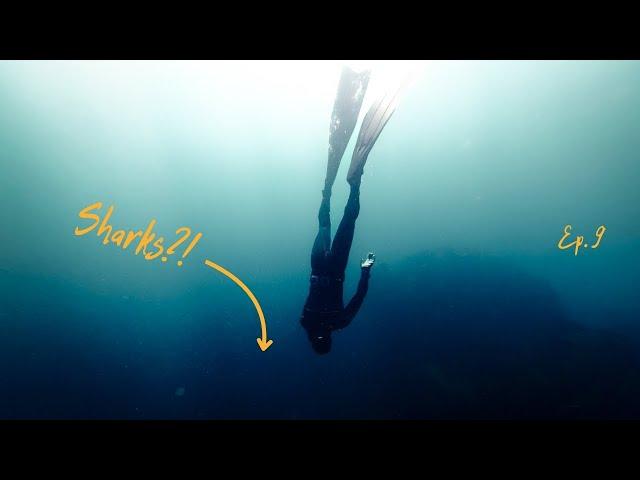 Freediving a shipwreck!!