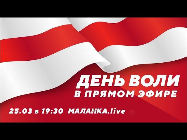 ️День Воли в прямом эфире // Malanka.Live