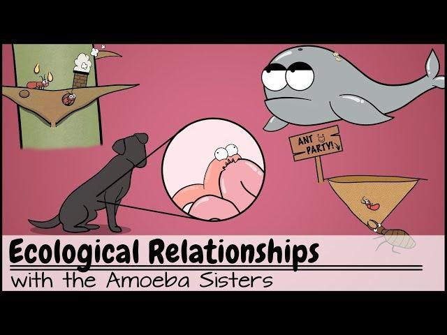 Ecological Relationships