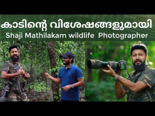 കാടിന്റെ വിശേഷങ്ങളുമായി ഷാജി മതിലകം|Shaji Mathilakam wildlife  Photographer