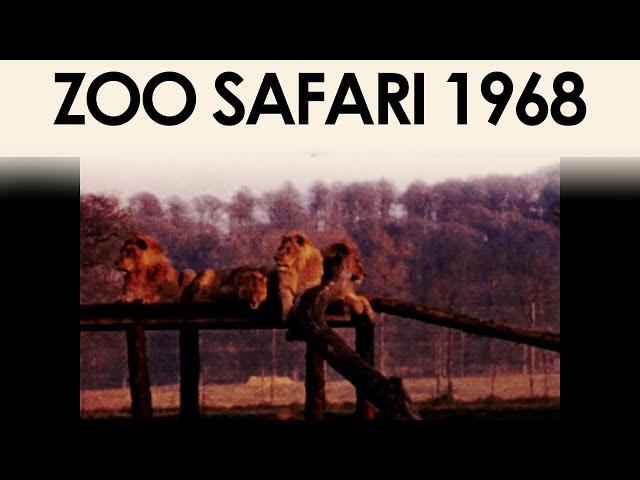Archive Footage of a Zoo in the 1960s | 8mm home movie film