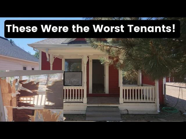 How Much Damage did the Tenants Do After all Their Trash Was Removed?