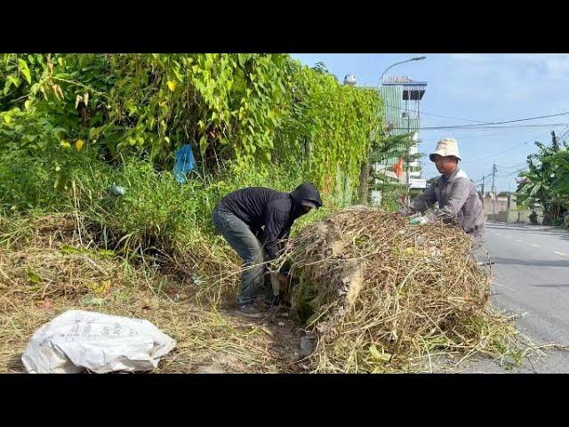 Two Crazy Guys Clear Overhanging Grass and Overgrown Sidewalks Unexpectedly Useful