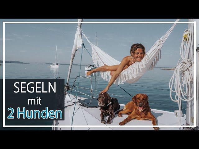 Segeln mit 2 Hunden | 1 Woche Adria auf einem Segelboot | Chocolate  Foxred Labrador KaroLovesMilka