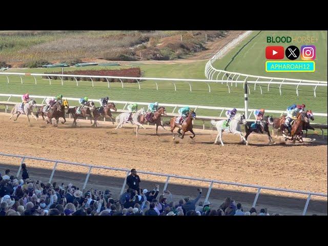 2024 Breeders' Cup Classic: America's Top Horses Compete for $7 Million