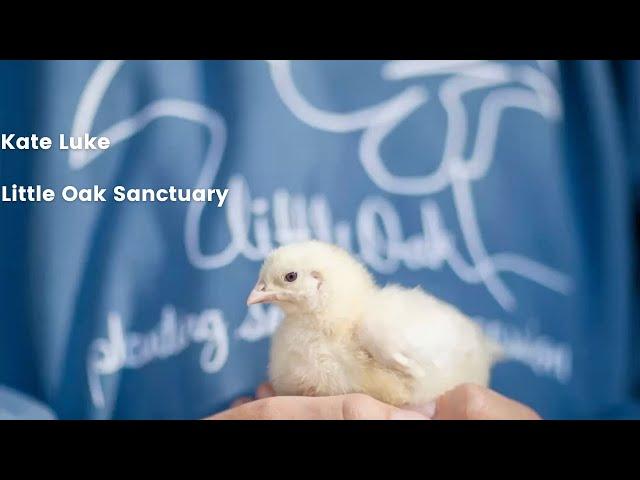 Animal Liberation's Webinar- 27 June - Little Oak Sanctuary