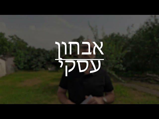 אבחון עסקי חינם: שלב 2 - פרטים חיוניים על העסק שלך - בני וזנה, יועץ ומאמן אסטרטגי עסקי וכלכלן בכיר