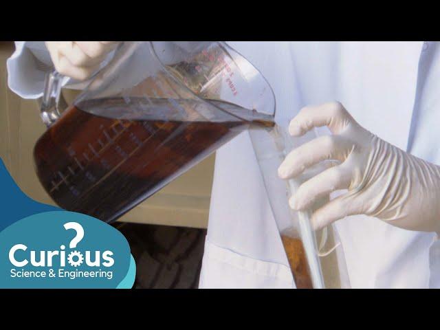 How To Prepare Food Using Dirty Water | ExperiMental | Curious?: Science and Engineering