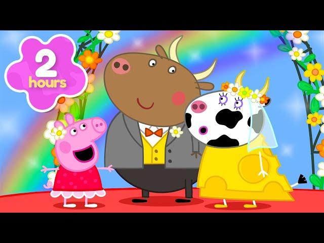 It's The Wedding Day!  | Peppa Pig Full Episodes