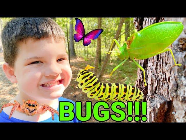 Caleb & Mommy Play and Find REAL BUGS Outside! KiD BUG HUNT in THE WOODS!