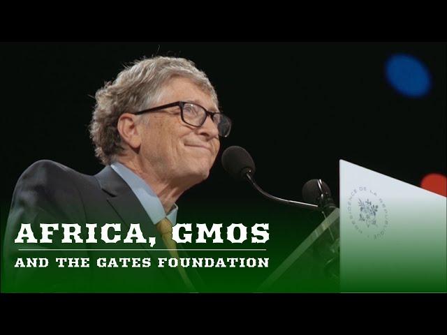 Africa, GMO and the Gates Foundation | Free Documentary