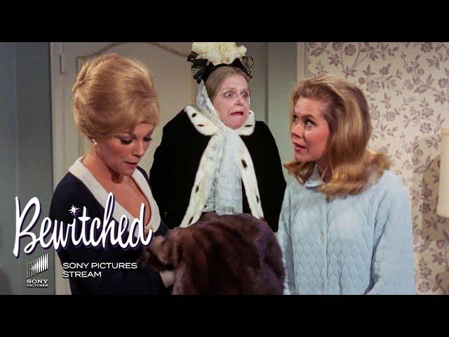 Endora questions Sam about her witchcraft skills | Bewitched - TV Show | Sony Pictures– Stream