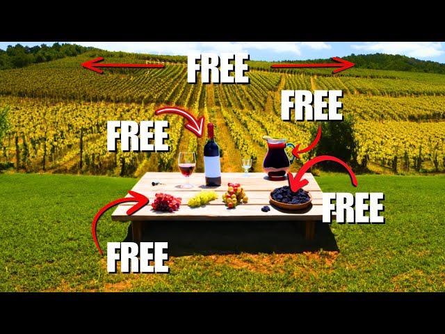 Plant a Vineyard for FREE - The Wine industry's BIGGEST SECRET!