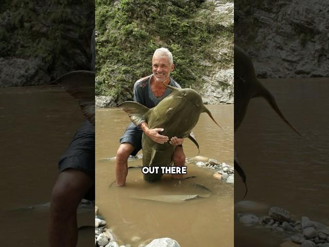 The River Monster Fish Ended!