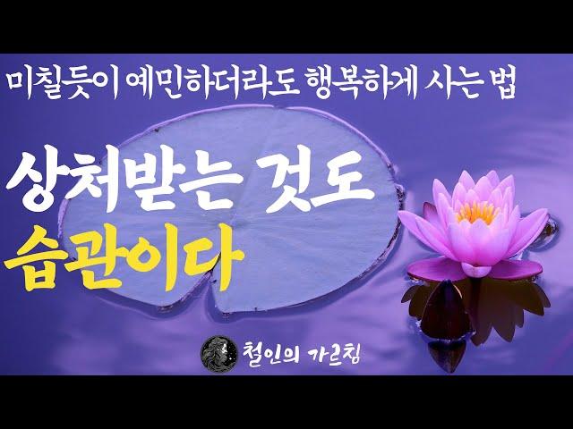 상처받는 것도 습관이다 | 미칠듯이 예민하더라도 행복하게 사는 법|"인생이 술술 풀릴 겁니다"|저항하지 말고 담담히 받아들여야 한다|불교철학 오디오북 부처님 말씀 석가모니 ASMR