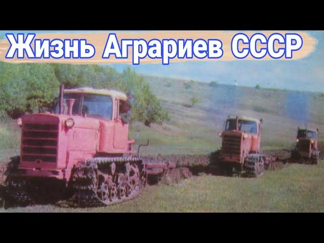 Жизнь аграриев в СССР. Как развивалось сельское хозяйство и сельхозтехника.