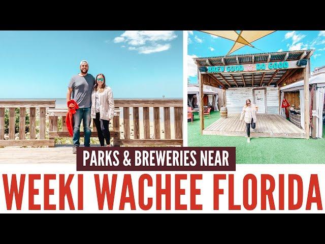 Things to Do in Weeki Wachee and Spring Hill Florida // Breweries in Spring Hill Florida