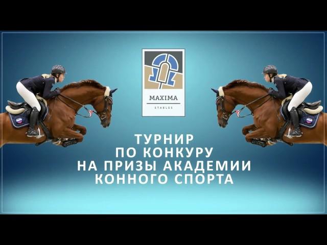 Новогодние соревнования по конкуру и выездке в Maxima Stables