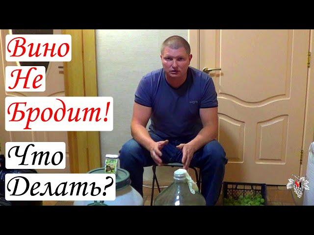 Вино не бродит! Что делать?