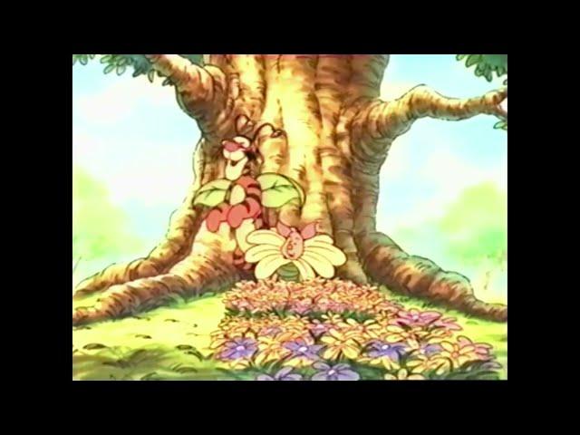 Winnie The Pooh intro - Pooh Wishes VHS 1997 (chapolin crack2130's print, 2 versions)