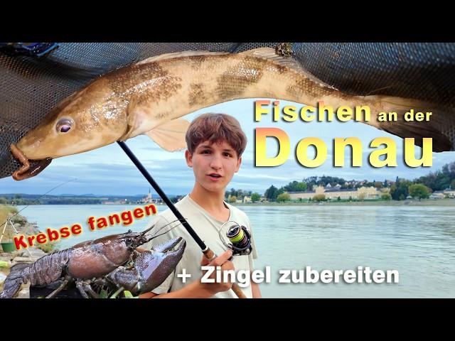 Angeln an der Donau, Krebse fangen, Zingel zubereiten und essen - Fischen an der Donau in Persenbeug