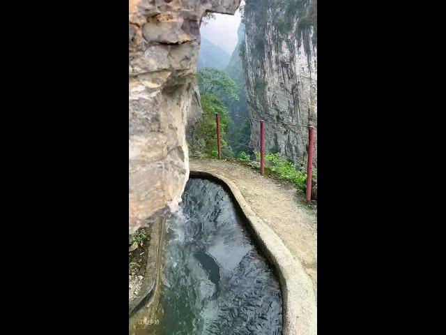 悬崖上的“红旗渠”，在没有大型机械辅助的年代，全靠人工用铁锤和钢钎耗时三年开凿而成，老一辈劳动人民的伟大工程！#重庆武隆#挂壁水渠#悬崖峭壁#震撼