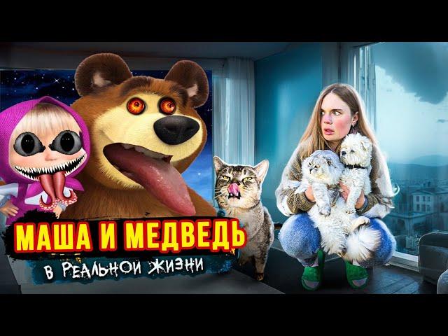 Masha and the Bear EXE в РЕАЛЬНОЙ ЖИЗНИ в нашем доме С КОТАМИ И СОБАКОЙ