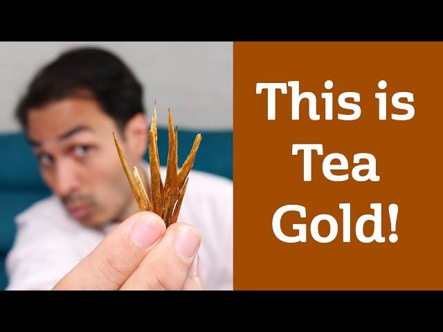 IT ONLY TOOK 20 YEARS! Finding Sultan's Quill