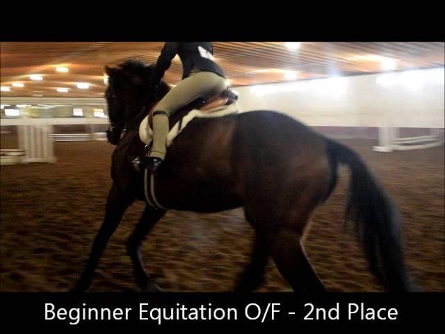 2 20 16 Hunters Run Schooling Show - Madison Lynn & Stitch (Serendipity)